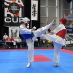 9 medali ARS Klub Kyokushinkai na SARI CUP w Żorach (28)