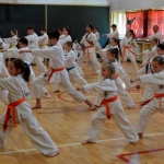 Egzamin na stopnie szkoleniowe w Karate (11)