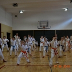 Egzamin na stopnie szkoleniowe w Karate (12)