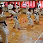 Egzamin na stopnie szkoleniowe w Karate (14)