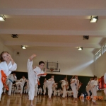 Egzamin na stopnie szkoleniowe w Karate (15)