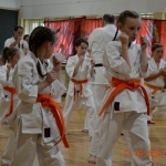 Egzamin na stopnie szkoleniowe w Karate (8)