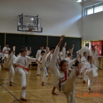 Egzamin na stopnie szkoleniowe w Karate (9)