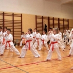 Karatecy ARS Klub Kyokushinkai potwierdzili swoje umiejętności (38)