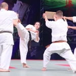 Mistrzostwa Świata Karate Kyokushin – Kraków 2021 v1 (25)