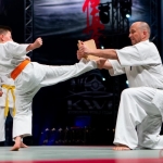 Mistrzostwa Świata Karate Kyokushin – Kraków 2021 v1 (8)