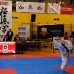 Karate Kyokushin - Będzin (13)