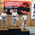 Puchar Wiślanego Smoka w Karate Kyokushin (11)
