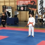 Puchar Wiślanego Smoka w Karate Kyokushin (14)