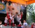 festyn_rodzinny-pokazy_cheerleaders_i_karate_dzieci-23