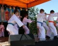 festyn_rodzinny-pokazy_cheerleaders_i_karate_dzieci-29
