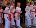 festyn_rodzinny-pokazy_cheerleaders_i_karate_dzieci-33