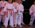 festyn_rodzinny-pokazy_cheerleaders_i_karate_dzieci-36