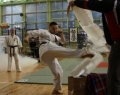 iv_turniej_gwiazdkowy_karate_kyokushin_zakopane-25