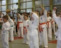 iv_turniej_gwiazdkowy_karate_kyokushin_zakopane-5