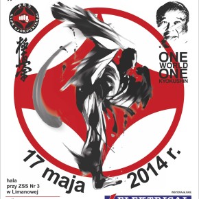 One World One Kyokushin - Limanowa 2014