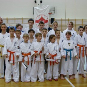 Ogólnopolski Turniej o Puchar Solny Karate Kyokushin