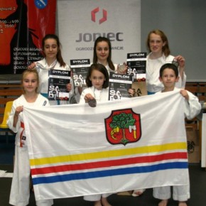 Turniej Karate Kyokushin „SARI CUP” – Żory 2015