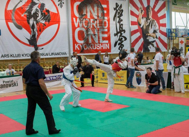One World One Kyokushin 2015_1