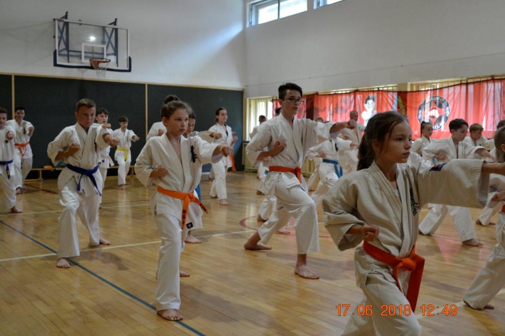 Egzamin na stopnie szkoleniowe w Karate
