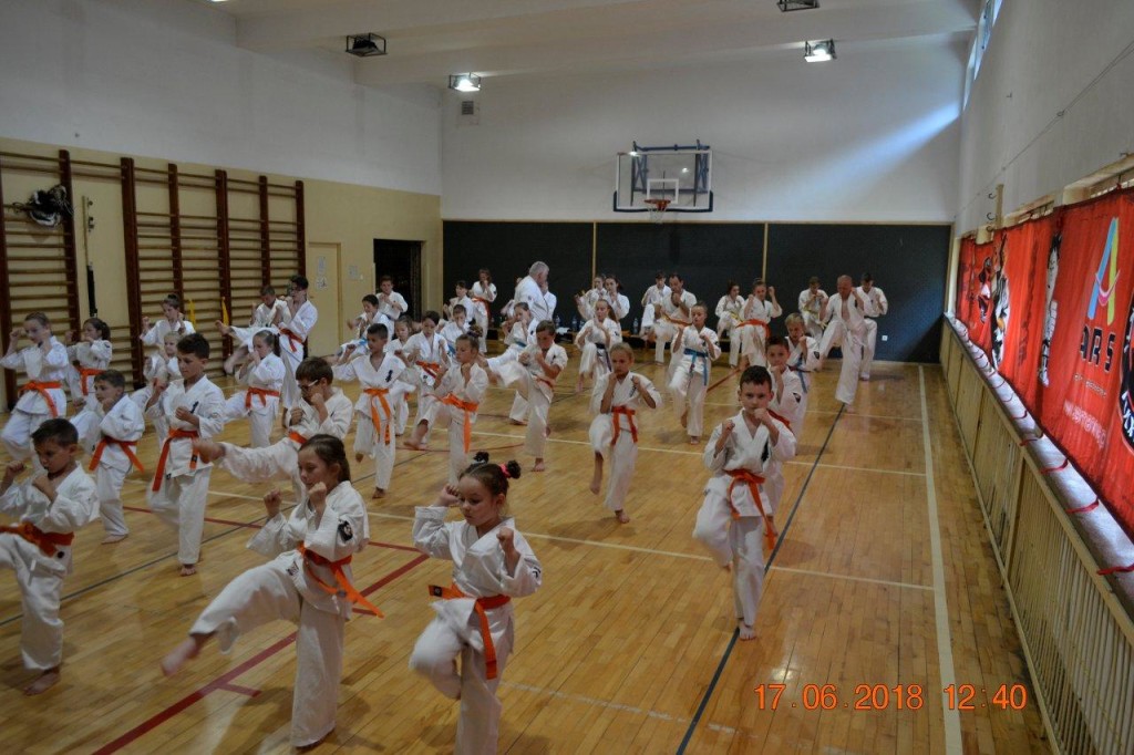 Egzamin na stopnie szkoleniowe w Karate