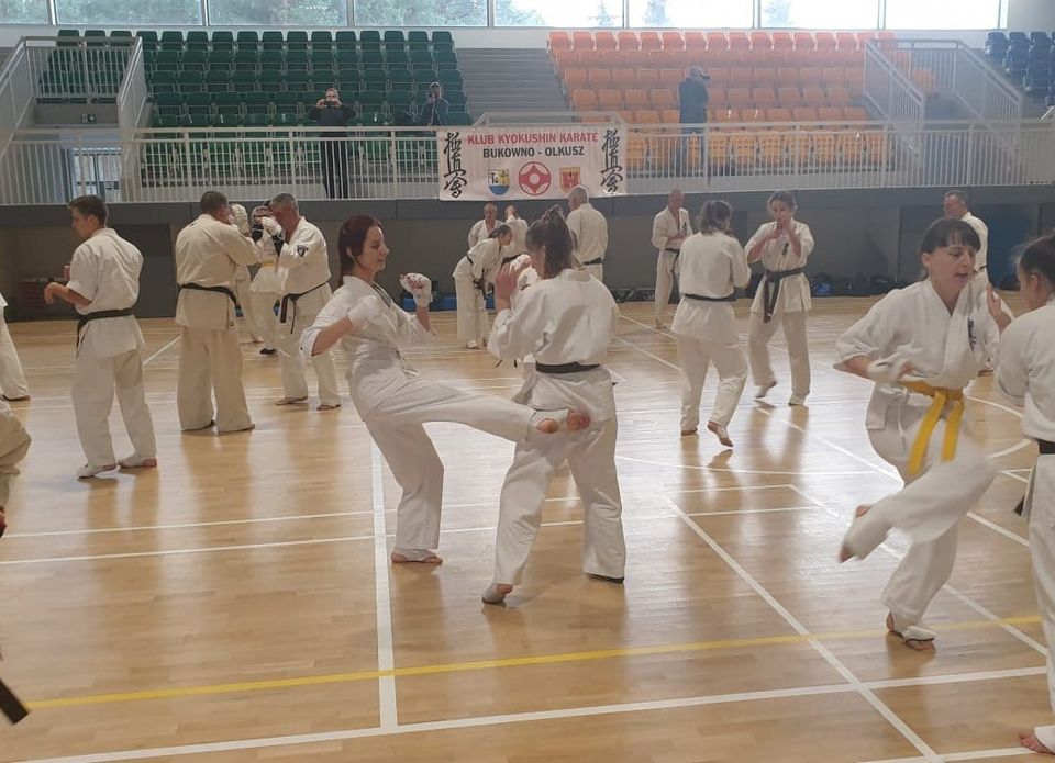 V Zgrupowania Małopolskiego Okręgowego Związku Karate – Bukowno 2020