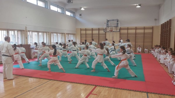 Kolejny egzamin na wyższe stopnie w Kyokushin Karate za nami