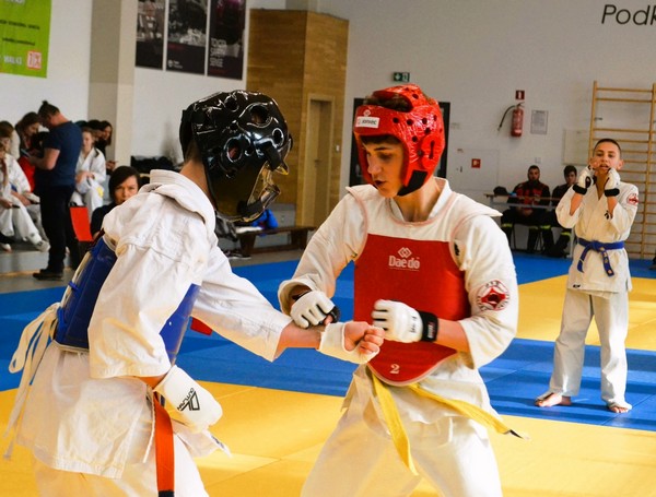 Karatecy ARS Limanowa-JONIEC Team wywalczyli 9 medali w Jaśle