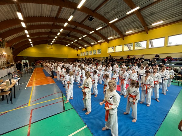 Mistrzostwa Powiatu Rybnickiego w Karate Kyokushin