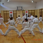 Egzamin na stopnie szkoleniowe w Karate (16)