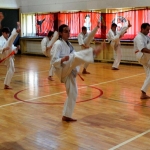 Egzamin na stopnie szkoleniowe w Karate (18)