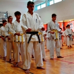 Egzamin na stopnie szkoleniowe w Karate (4)