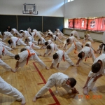 Egzamin na stopnie szkoleniowe w Karate (6)