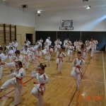 Egzamin na stopnie szkoleniowe w Karate (7)