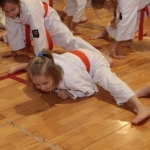 Karatecy ARS Klub Kyokushinkai potwierdzili swoje umiejętności (15)