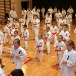 Karatecy ARS Klub Kyokushinkai potwierdzili swoje umiejętności (23)