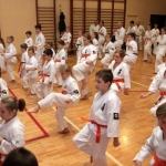 Karatecy ARS Klub Kyokushinkai potwierdzili swoje umiejętności (27)