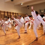 Karatecy ARS Klub Kyokushinkai potwierdzili swoje umiejętności (37)