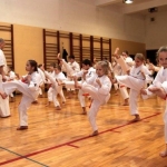Karatecy ARS Klub Kyokushinkai potwierdzili swoje umiejętności (39)
