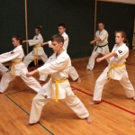 Karatecy ARS Klub Kyokushinkai potwierdzili swoje umiejętności (45)