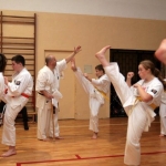 Karatecy ARS Klub Kyokushinkai potwierdzili swoje umiejętności (54)
