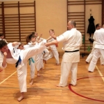 Karatecy ARS Klub Kyokushinkai potwierdzili swoje umiejętności (58)