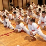 Karatecy ARS Klub Kyokushinkai potwierdzili swoje umiejętności (6)