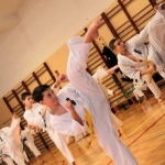 Karatecy ARS Klub Kyokushinkai potwierdzili swoje umiejętności (60)