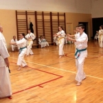 Karatecy ARS Klub Kyokushinkai potwierdzili swoje umiejętności (64)