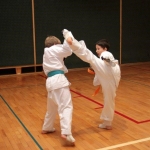 Karatecy ARS Klub Kyokushinkai potwierdzili swoje umiejętności (69)