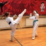 Karatecy ARS Klub Kyokushinkai potwierdzili swoje umiejętności (70)