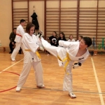 Karatecy ARS Klub Kyokushinkai potwierdzili swoje umiejętności (74)