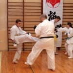 Karatecy ARS Klub Kyokushinkai potwierdzili swoje umiejętności (76)