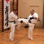 Karatecy ARS Klub Kyokushinkai potwierdzili swoje umiejętności (80)